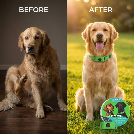 GotBark Natural Flea & Tick Defense Collar